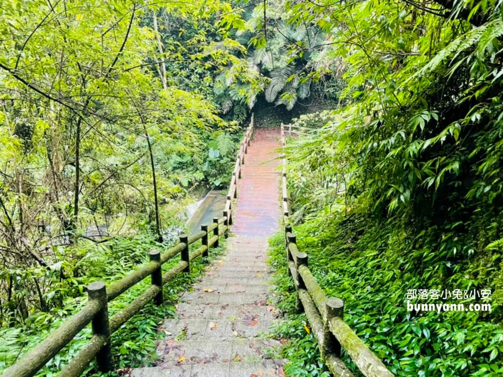 桃園【三民蝙蝠洞】拉拉山私房森林鋪瀑布步道景點