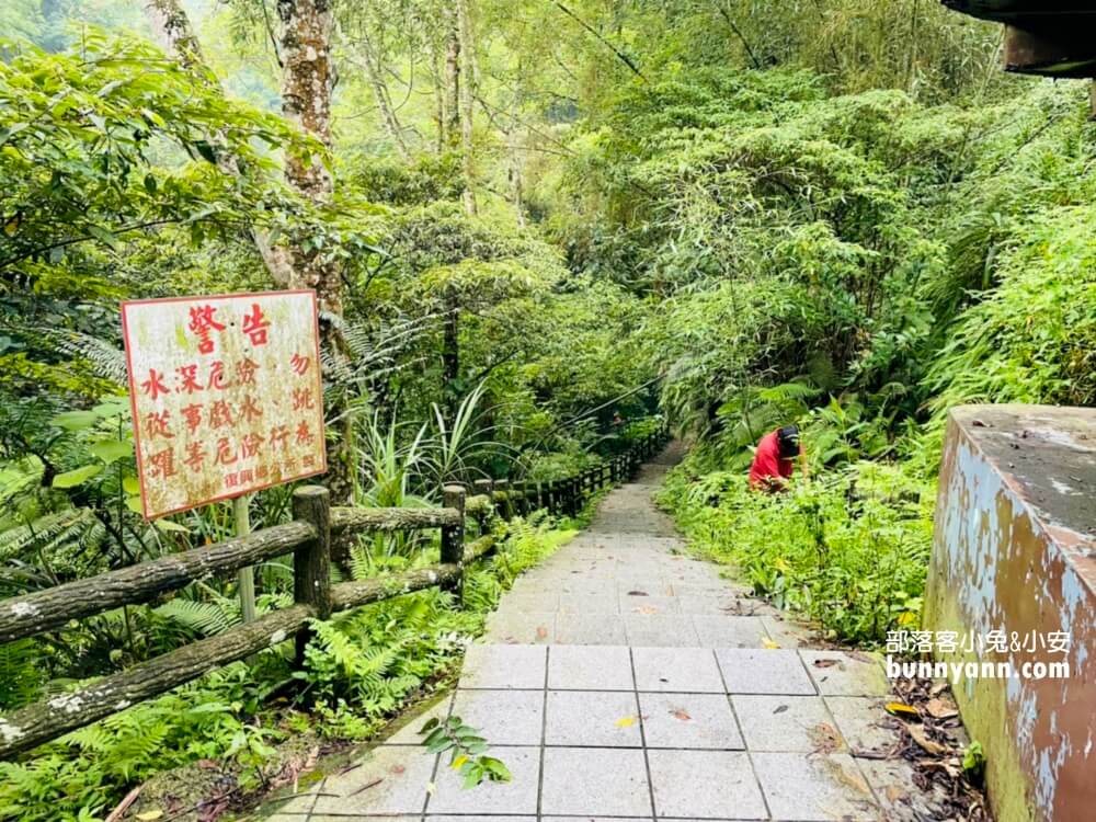 桃園【三民蝙蝠洞】拉拉山私房森林鋪瀑布步道景點
