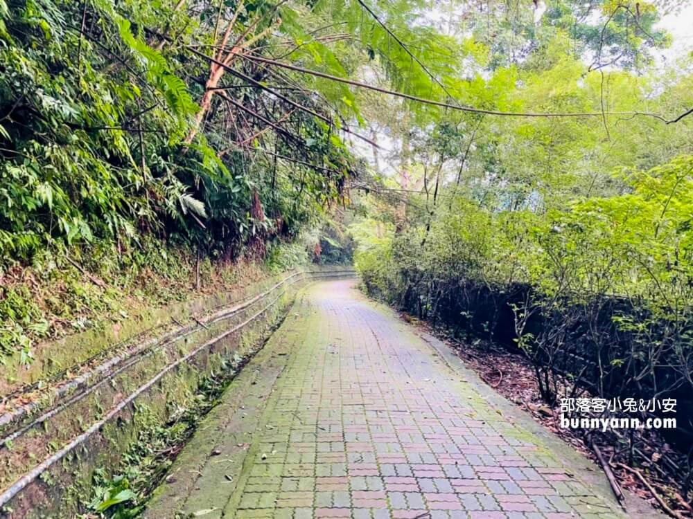 桃園景點》來回半小時！三民蝙蝠洞，秘境版山澗瀑布，復興森呼吸之旅