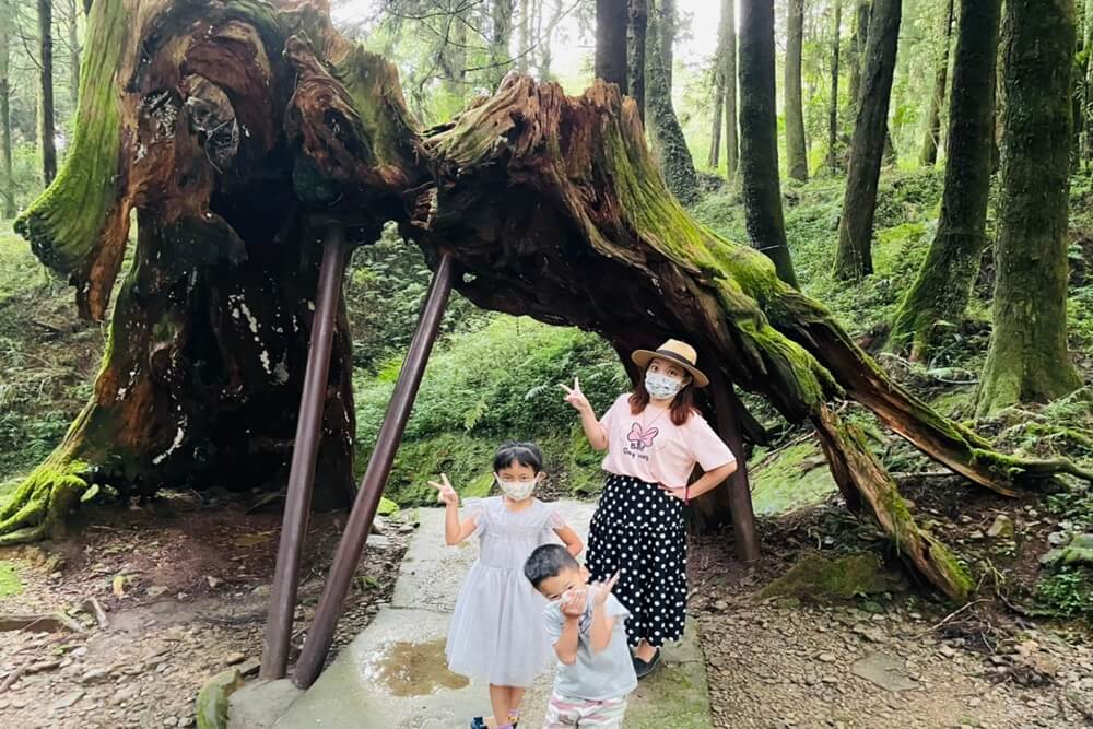 阿里山【姊妹潭】有著夢幻湖景秘境，沼平車站下車步行15分鐘。