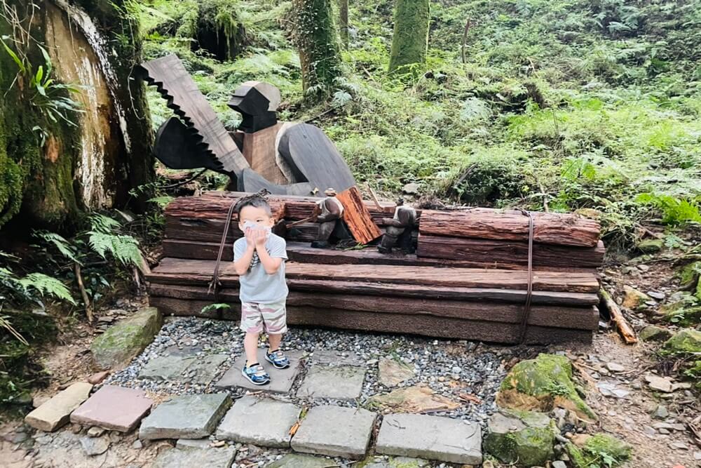阿里山【姊妹潭】有著夢幻湖景秘境，沼平車站下車步行15分鐘。