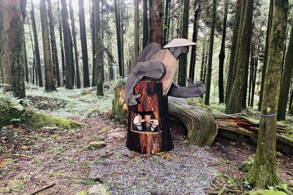 阿里山【姊妹潭】有著夢幻湖景秘境，沼平車站下車步行15分鐘。