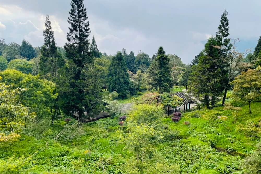 阿里山【姊妹潭】有著夢幻湖景秘境，沼平車站下車步行15分鐘。