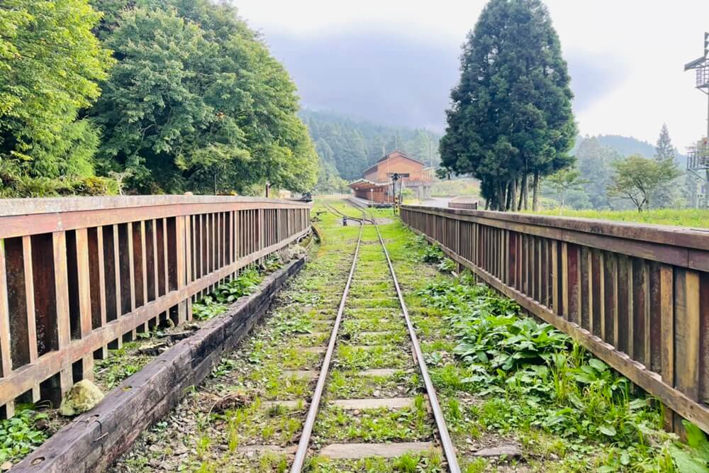 阿里山【姊妹潭】有著夢幻湖景秘境，沼平車站下車步行15分鐘。