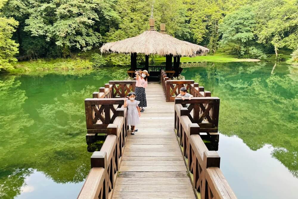 阿里山【姊妹潭】有著夢幻湖景秘境，沼平車站下車步行15分鐘。