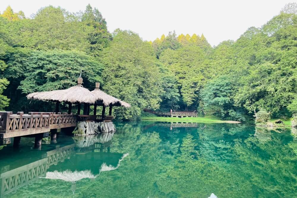 嘉義TOP15條森林步道分享，訪阿里山賞飛瀑、健走沐浴大自然