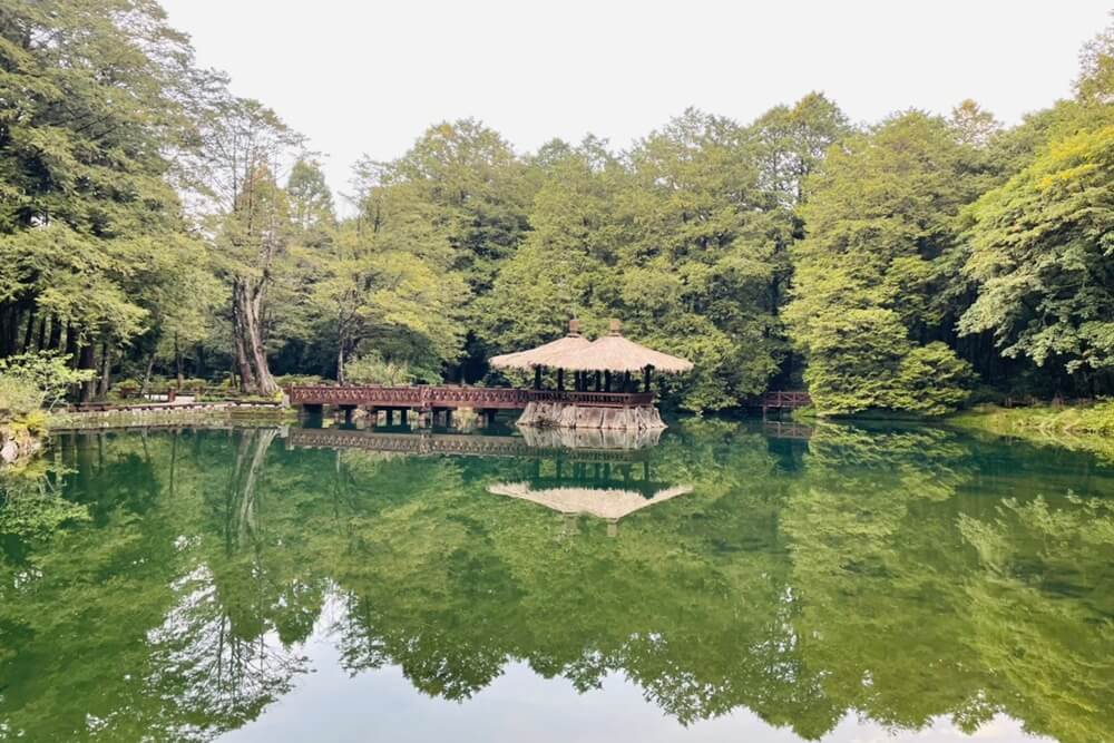 阿里山【姊妹潭】有著夢幻湖景秘境，沼平車站下車步行15分鐘。