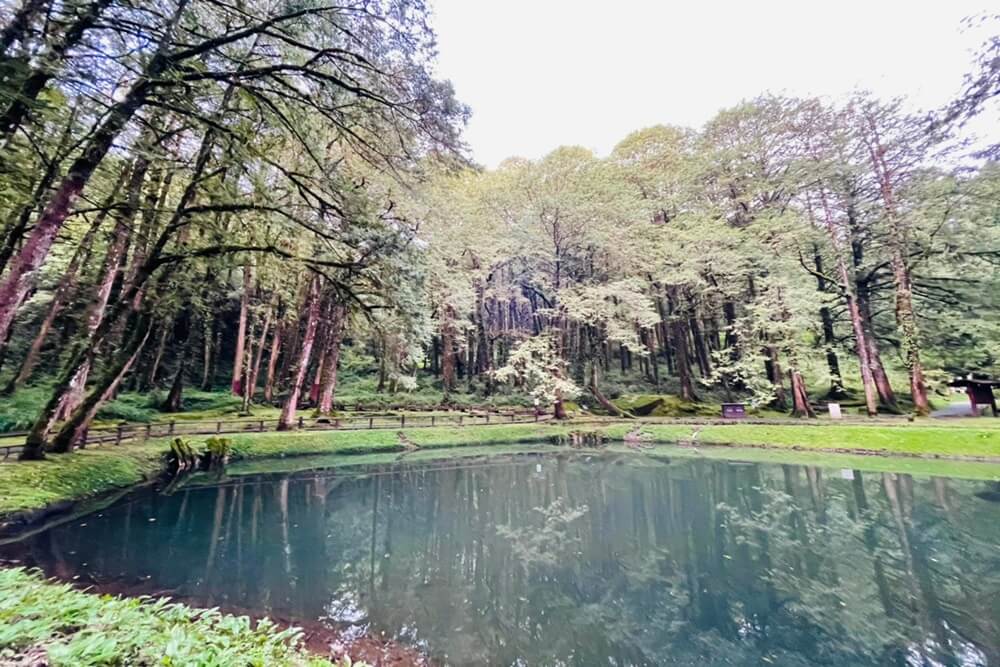 阿里山【姊妹潭】有著夢幻湖景秘境，沼平車站下車步行15分鐘。