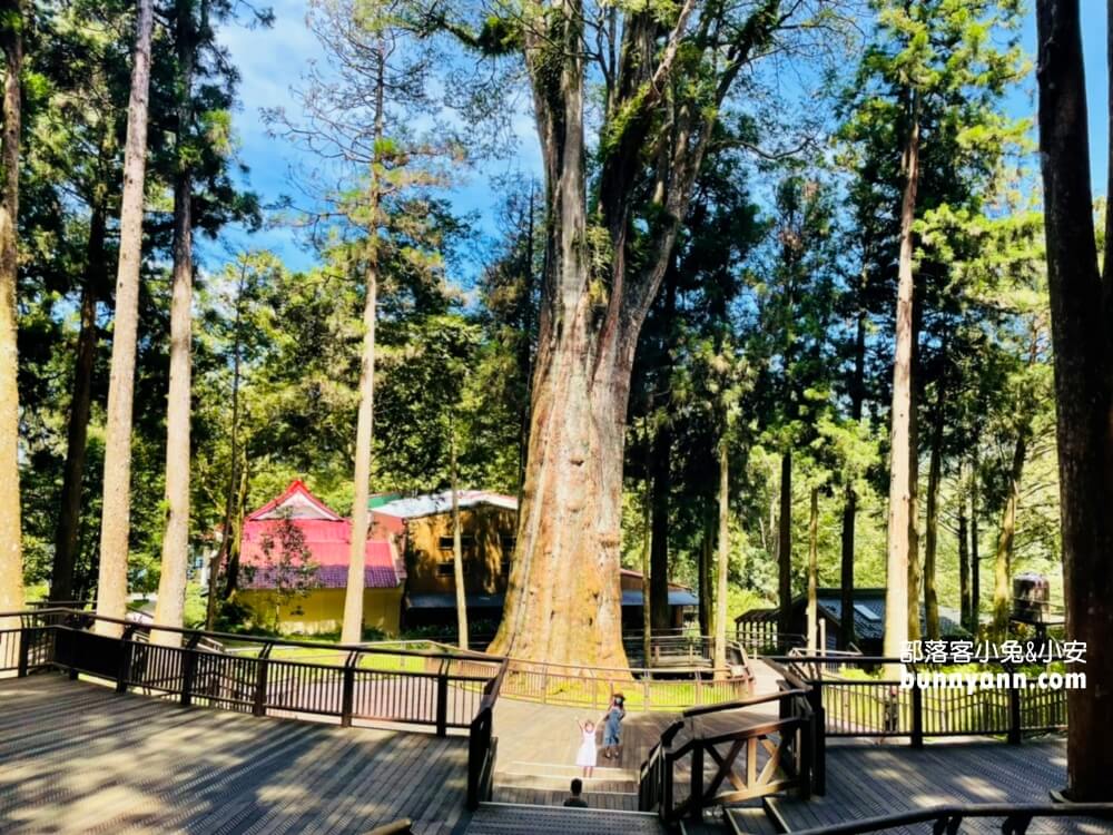 嘉義「阿里山國家森林遊樂區」擁有絕佳天然景色的森林園區