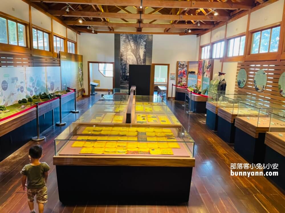 嘉義「阿里山國家森林遊樂區」擁有絕佳天然景色的森林園區
