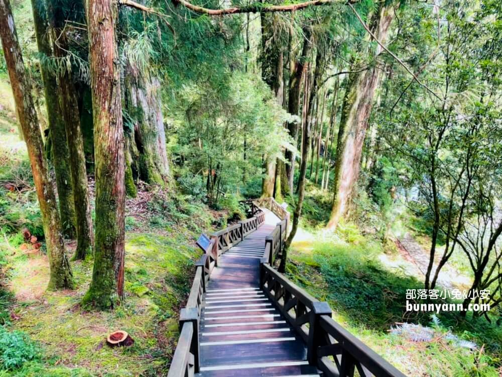 嘉義「阿里山國家森林遊樂區」擁有絕佳天然景色的森林園區