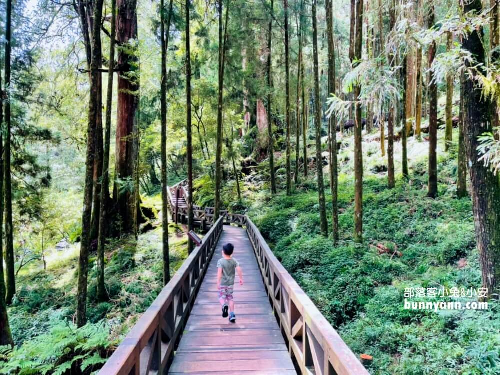 嘉義「阿里山國家森林遊樂區」擁有絕佳天然景色的森林園區