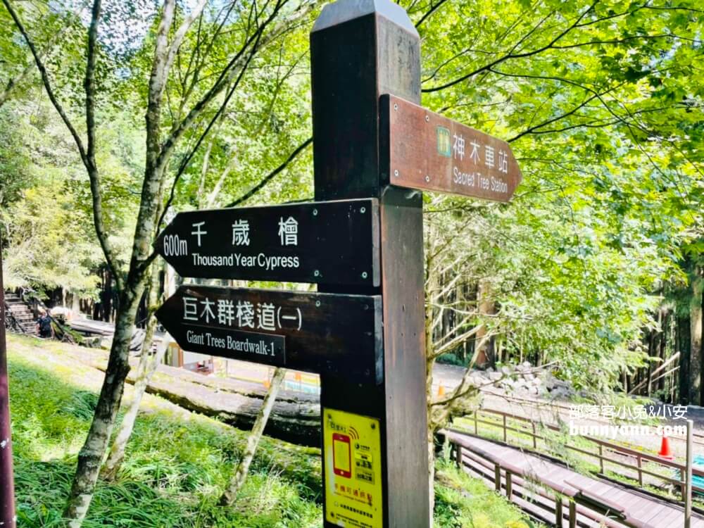 嘉義「阿里山國家森林遊樂區」擁有絕佳天然景色的森林園區
