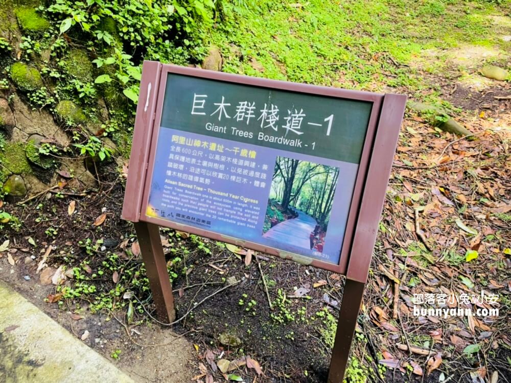 嘉義「阿里山國家森林遊樂區」擁有絕佳天然景色的森林園區