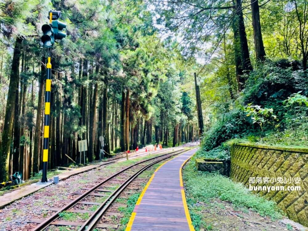 嘉義「阿里山國家森林遊樂區」擁有絕佳天然景色的森林園區