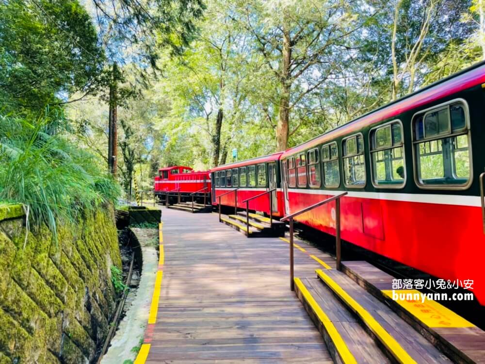 嘉義「阿里山國家森林遊樂區」擁有絕佳天然景色的森林園區