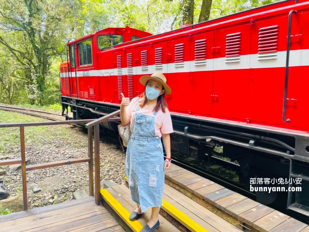 嘉義「阿里山國家森林遊樂區」擁有絕佳天然景色的森林園區