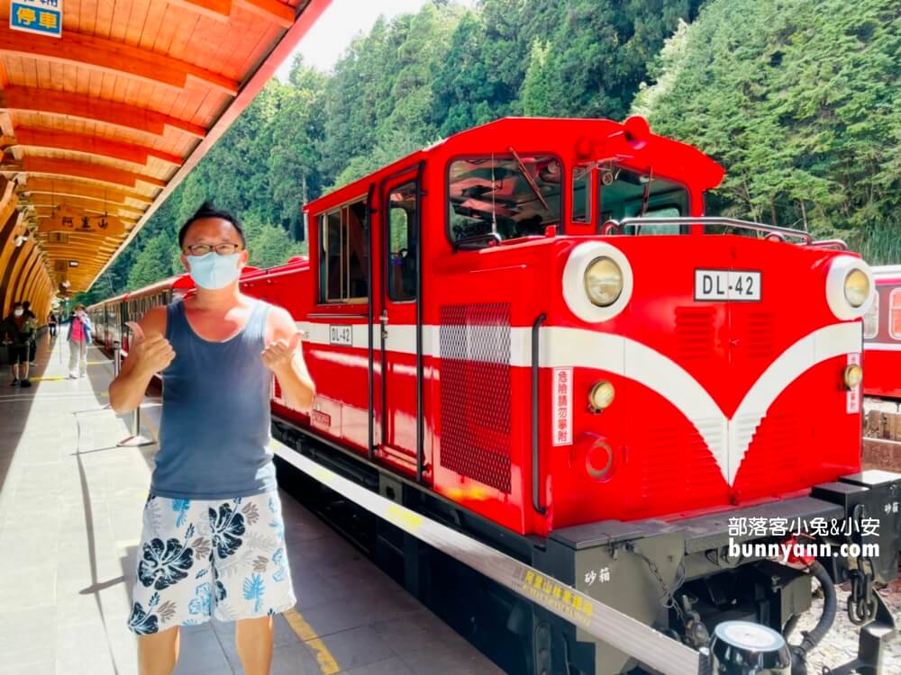 嘉義「阿里山國家森林遊樂區」擁有絕佳天然景色的森林園區