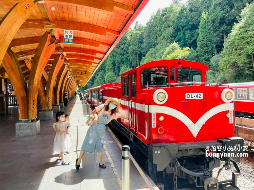 嘉義TOP15條森林步道分享，訪阿里山賞飛瀑、健走沐浴大自然