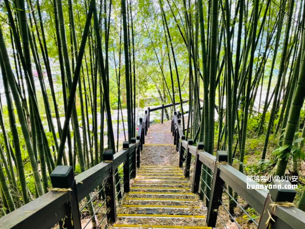 石棹步道【霞之道】只要單程15分鐘就能賞完茶園景色
