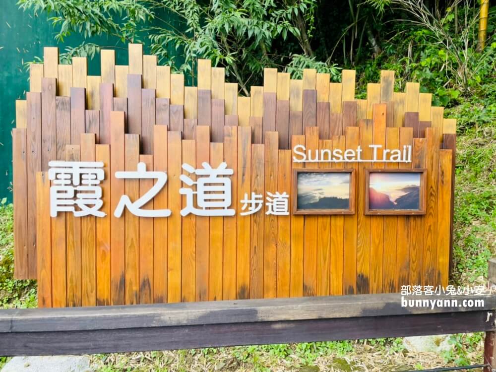 嘉義【霞之道】全長250公尺的茶田步道，有茶田跟竹林隧道可走