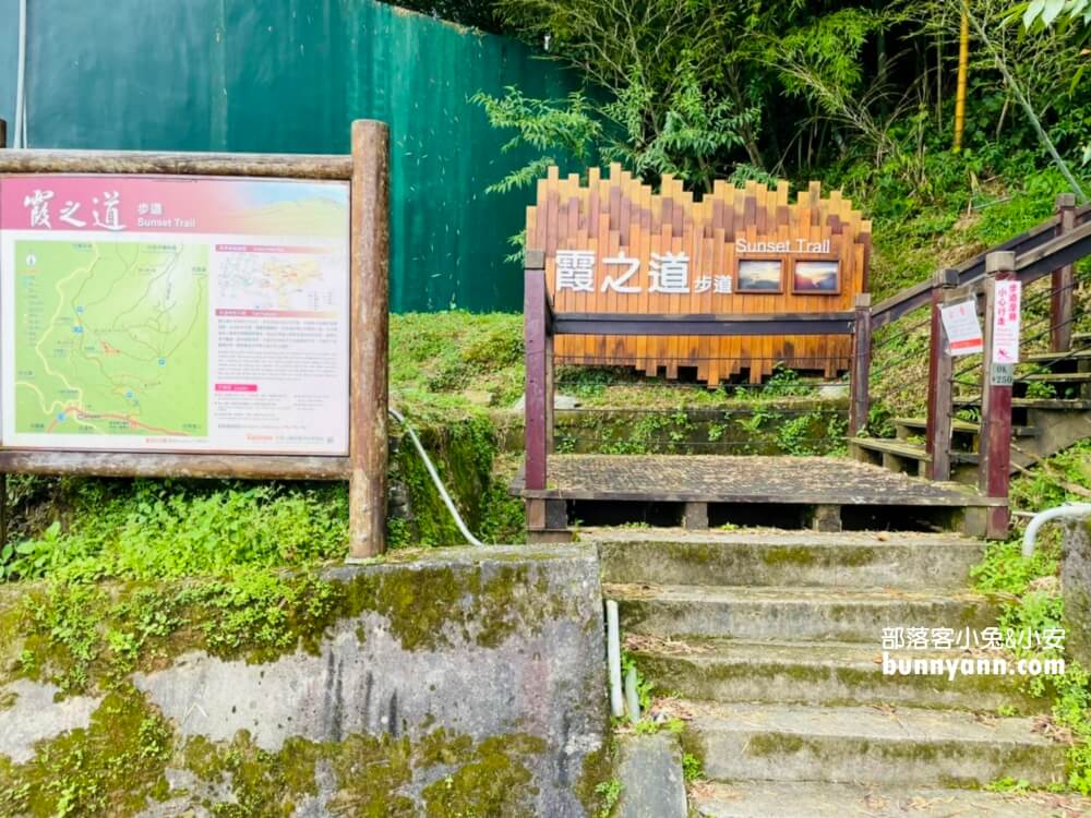 嘉義【霞之道】全長250公尺的茶田步道，有茶田跟竹林隧道可走