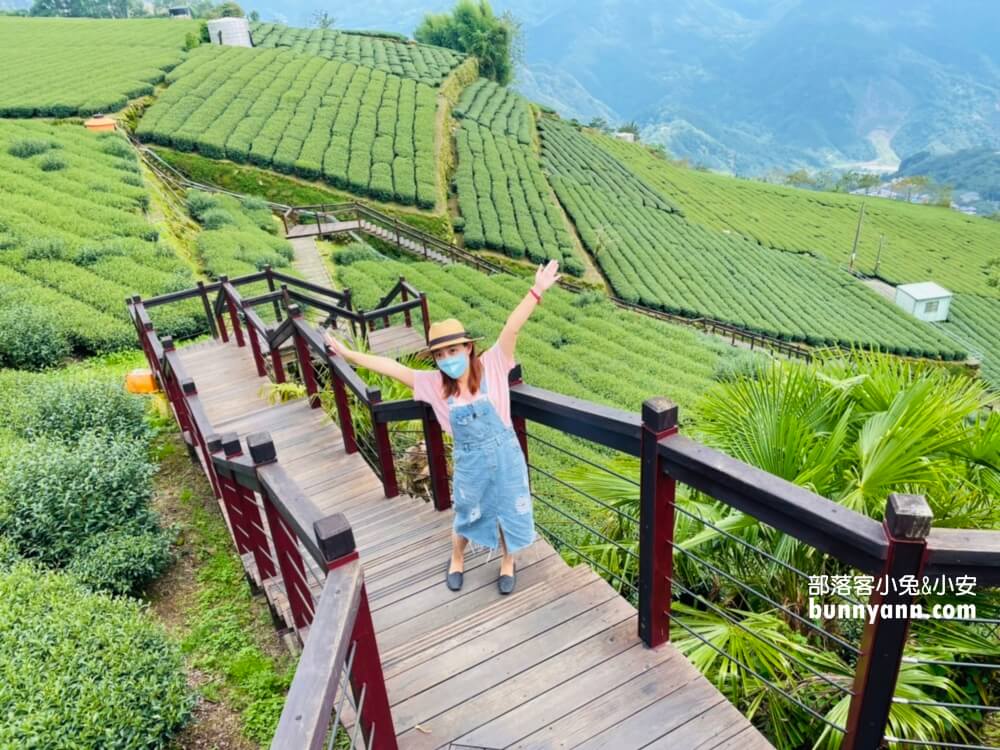 嘉義【霞之道】全長250公尺的茶田步道，有茶田跟竹林隧道可走