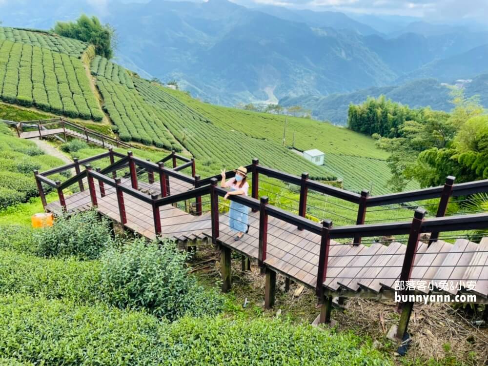 嘉義【霞之道】全長250公尺的茶田步道，有茶田跟竹林隧道可走