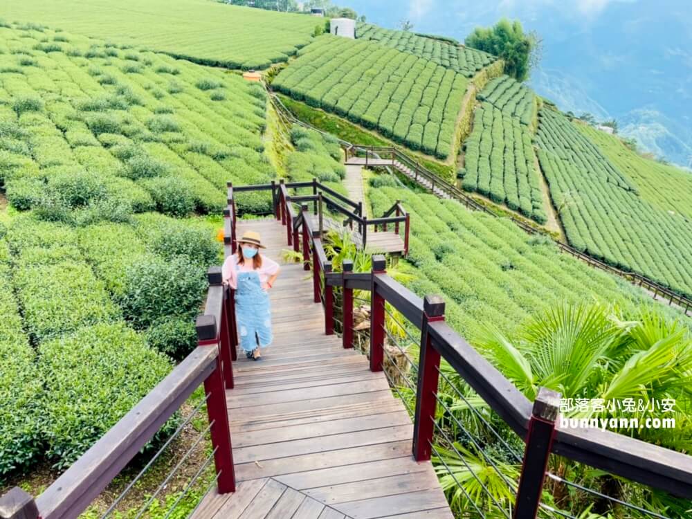 嘉義【霞之道】全長250公尺的茶田步道，有茶田跟竹林隧道可走