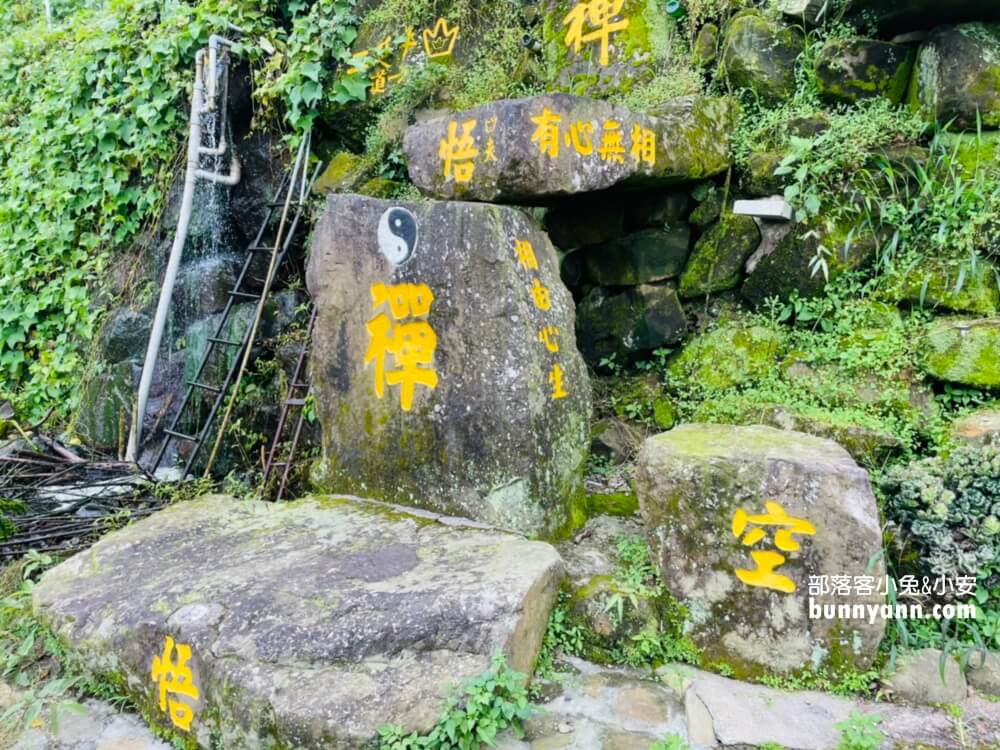 【二延平步道】除了景色悠閒，更能瞧見雲瀑、雲海、隙頂夕照、茶田景色等自然美景