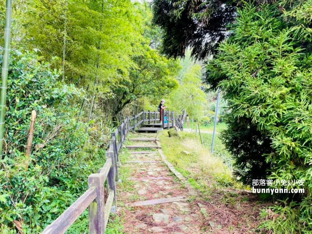 【二延平步道】除了景色悠閒，更能瞧見雲瀑、雲海、隙頂夕照、茶田景色等自然美景