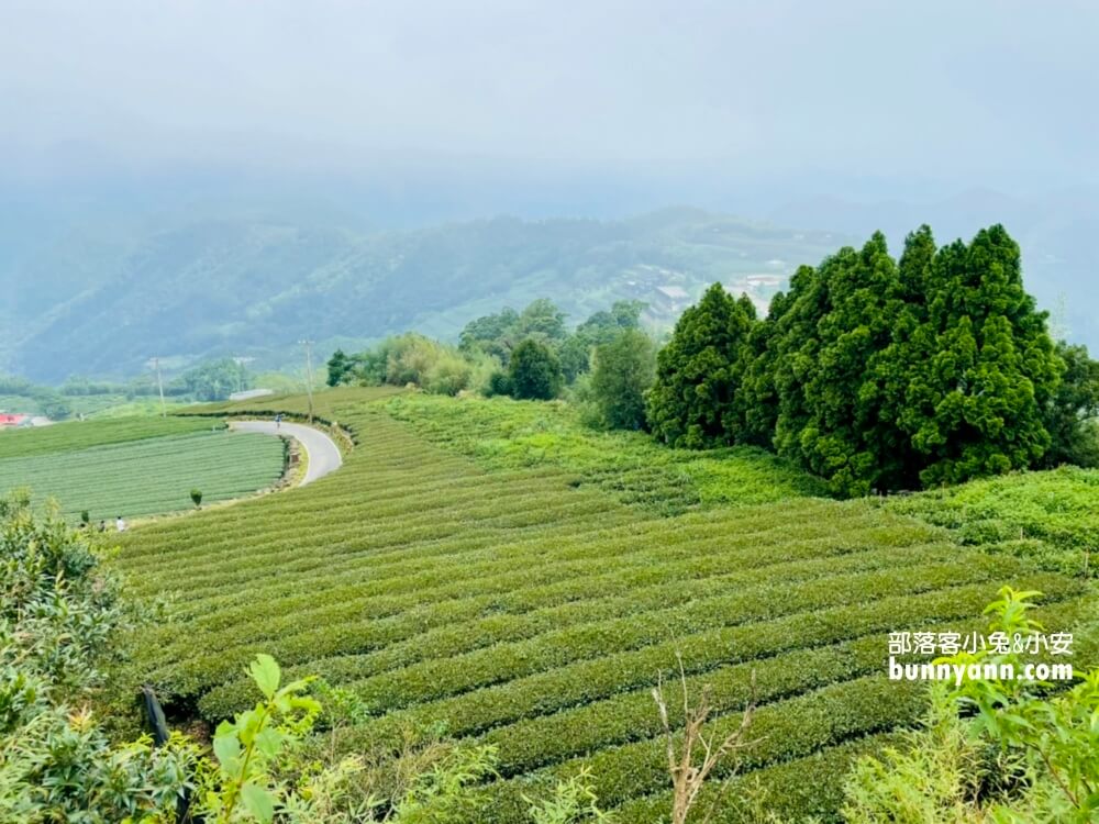 【二延平步道】除了景色悠閒，更能瞧見雲瀑、雲海、隙頂夕照、茶田景色等自然美景
