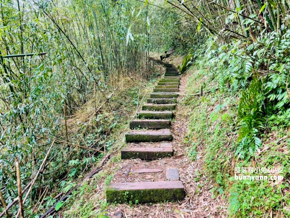 【二延平步道】除了景色悠閒，更能瞧見雲瀑、雲海、隙頂夕照、茶田景色等自然美景