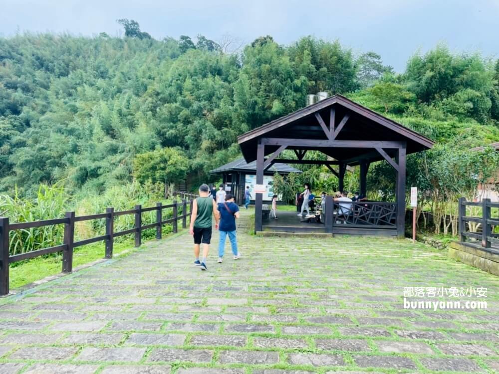 【二延平步道】除了景色悠閒，更能瞧見雲瀑、雲海、隙頂夕照、茶田景色等自然美景
