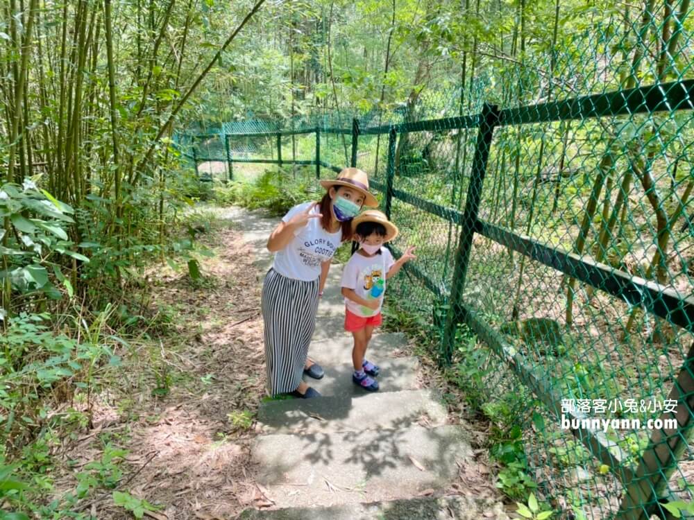 南庄【神仙谷瀑布】園區內擁有壯麗的景色和水量豐沛的山谷瀑布