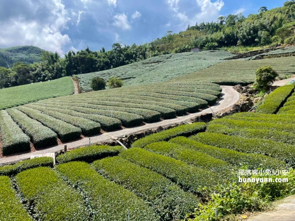 2025「優遊吧斯鄒族文化部落」🌿原住民部落文化村，來看精彩舞蹈表演