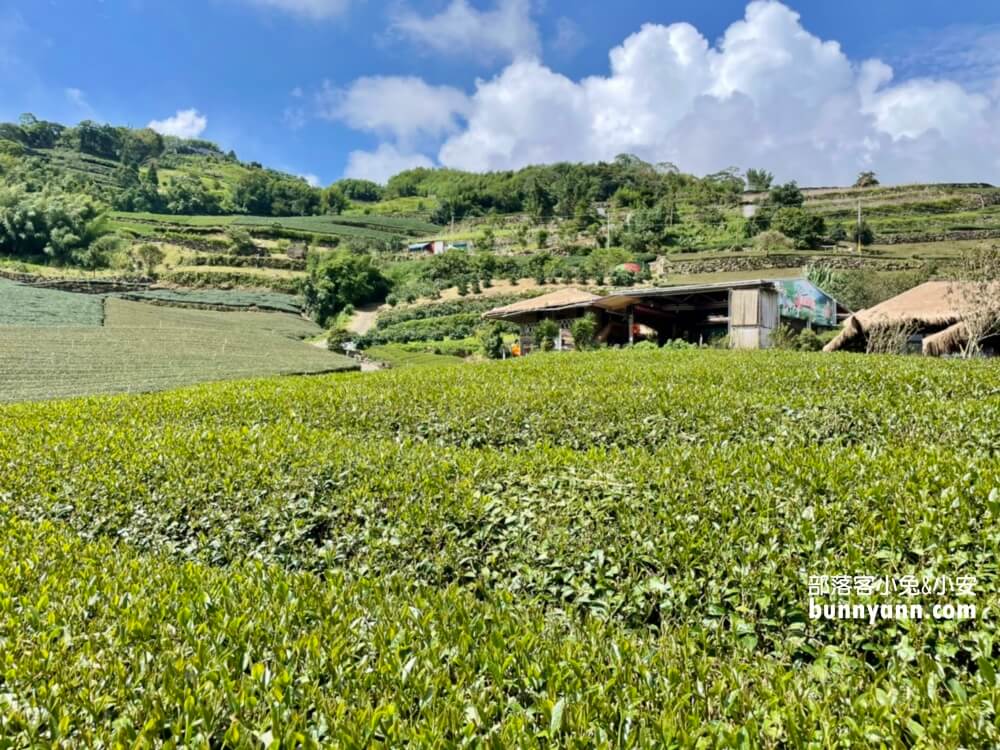 2025「優遊吧斯鄒族文化部落」🌿原住民部落文化村，來看精彩舞蹈表演