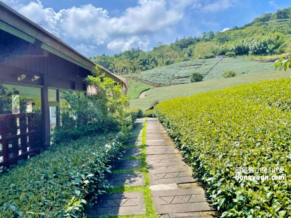 2025「優遊吧斯鄒族文化部落」🌿原住民部落文化村，來看精彩舞蹈表演