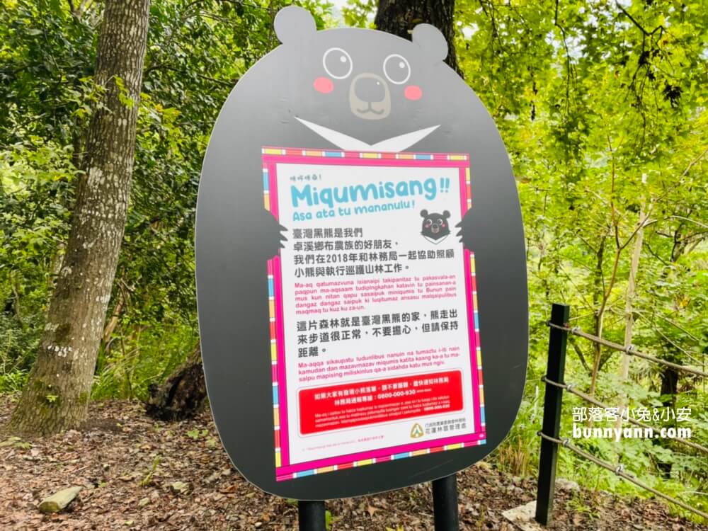 2025【瓦拉米步道】輕鬆攻略山風瀑布與山風吊橋，全程三公里來回一小時。