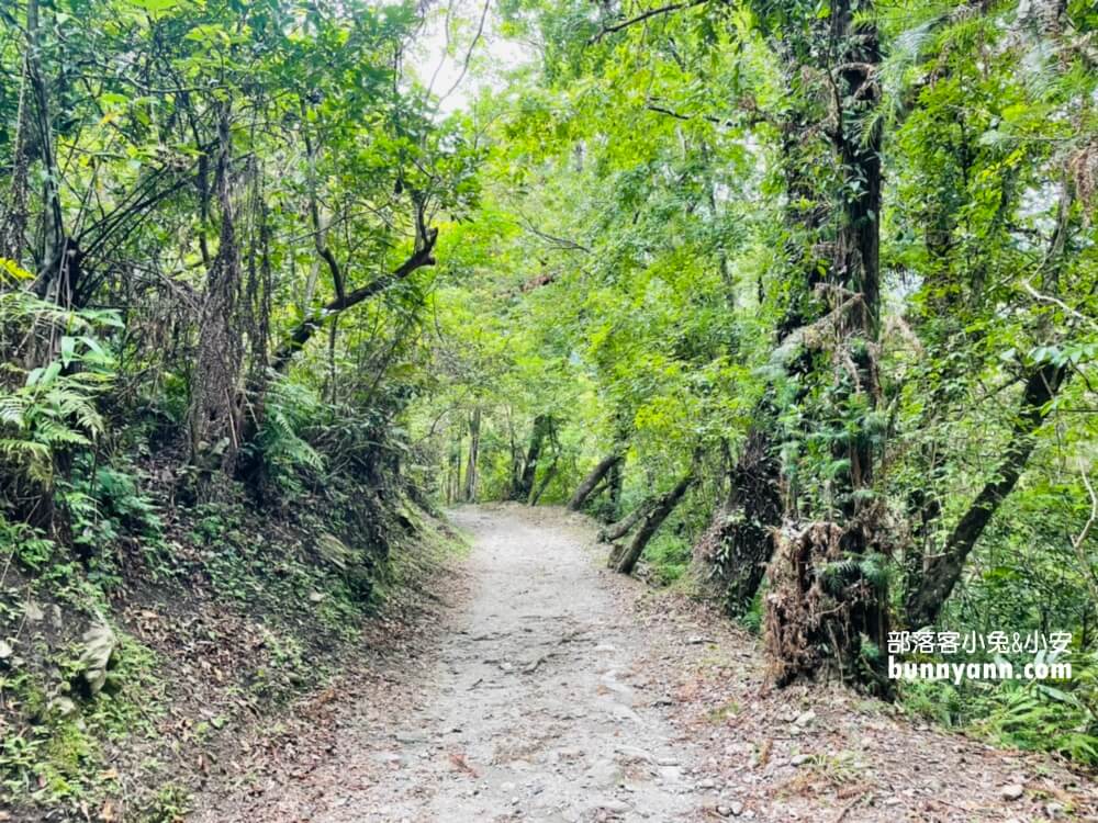 2025【瓦拉米步道】輕鬆攻略山風瀑布與山風吊橋，全程三公里來回一小時。
