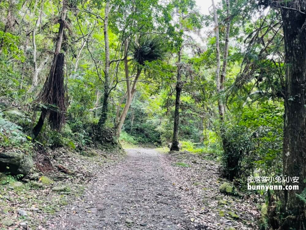 2025【瓦拉米步道】輕鬆攻略山風瀑布與山風吊橋，全程三公里來回一小時。