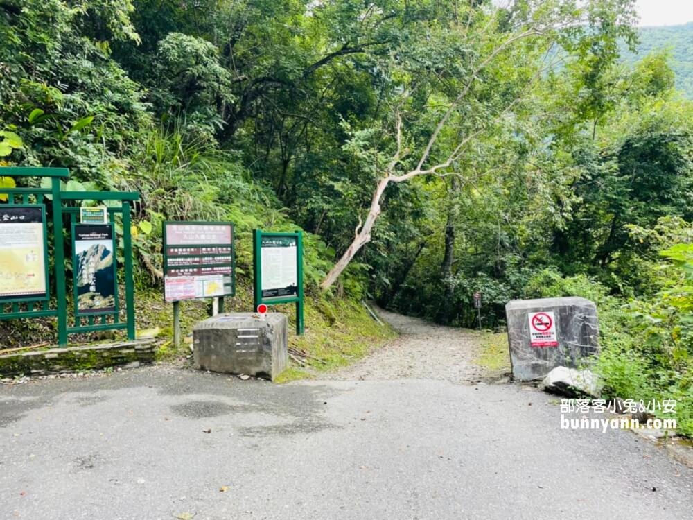2025【瓦拉米步道】輕鬆攻略山風瀑布與山風吊橋，全程三公里來回一小時。