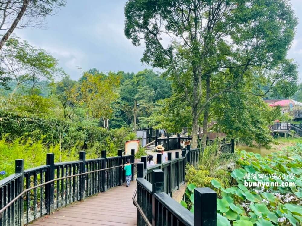苗栗【向天湖】只要一小時就能繞一圈的山林步道
