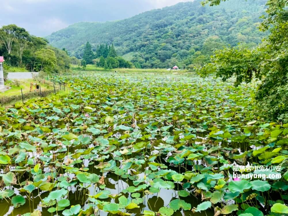 苗栗【向天湖】只要一小時就能繞一圈的山林步道