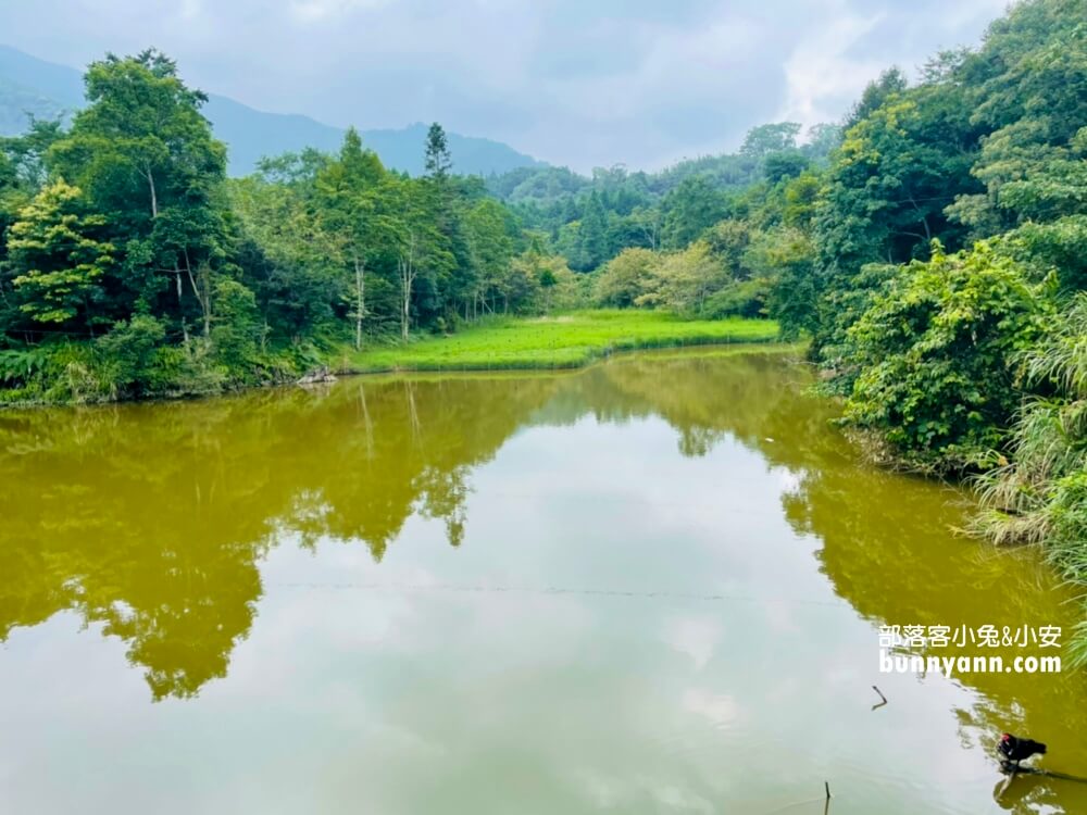 苗栗【向天湖】只要一小時就能繞一圈的山林步道