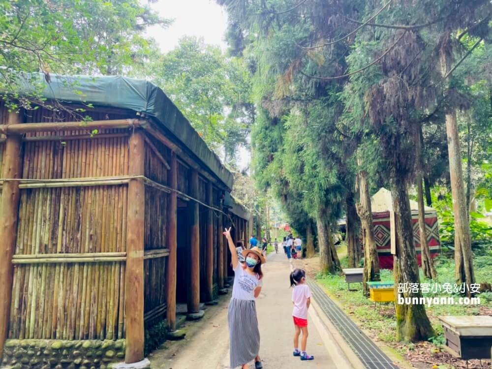 苗栗【向天湖】只要一小時就能繞一圈的山林步道