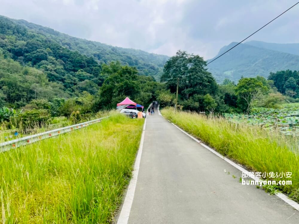 苗栗【向天湖】只要一小時就能繞一圈的山林步道