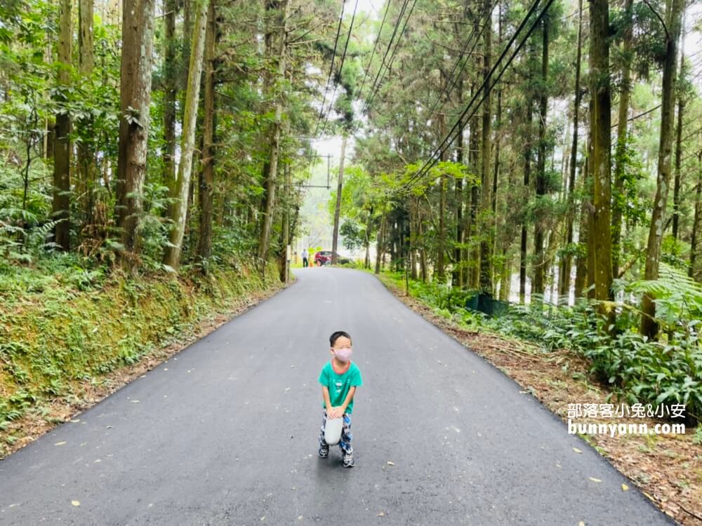 苗栗【向天湖】只要一小時就能繞一圈的山林步道
