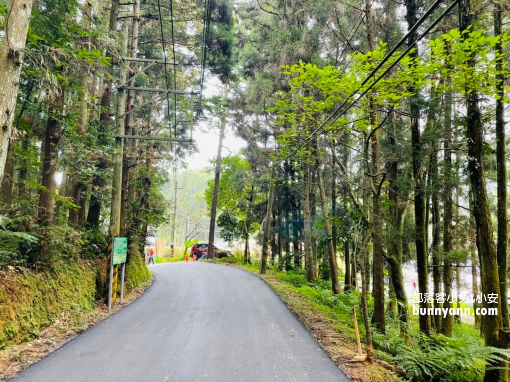 苗栗【向天湖】只要一小時就能繞一圈的山林步道