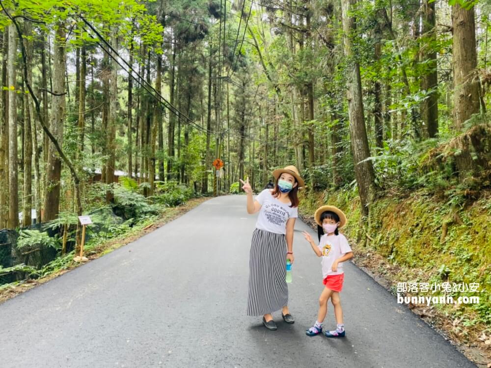苗栗【向天湖】只要一小時就能繞一圈的山林步道